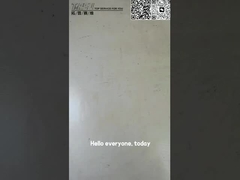 TZ910B1009-00 Eixo de Translação da Escavadeira PC60-6 RV