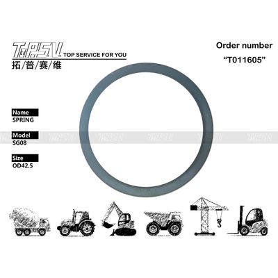 096-5930 SG08 Excavadora Viagem Partes do motor Primavera balançante para mineração e energia